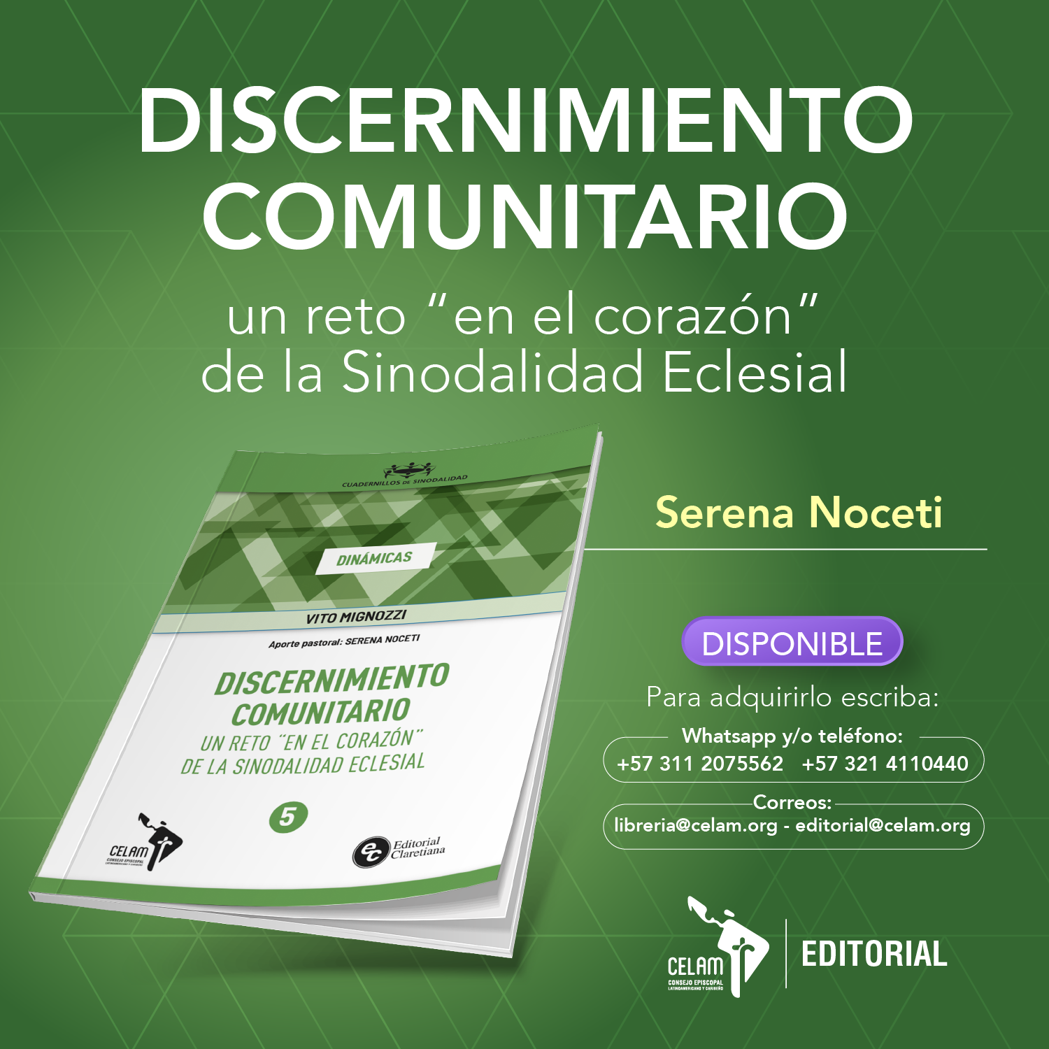 discernimiento comunitario_Mesa de trabajo 1 MOVIL discernimiento comunitario